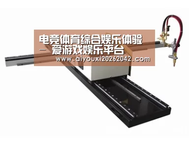 案例展示一