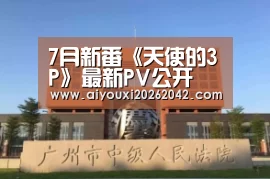爱游戏直播