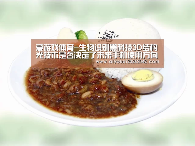 爱游戏体育