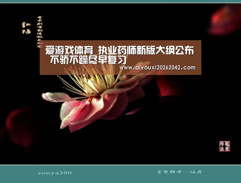 爱游戏赛事