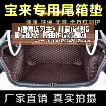 《偶像练习生》林彦俊被指歌词抄袭 原曲作词竟是欧阳靖“爱游戏赛事”(图4) 爱游戏体育