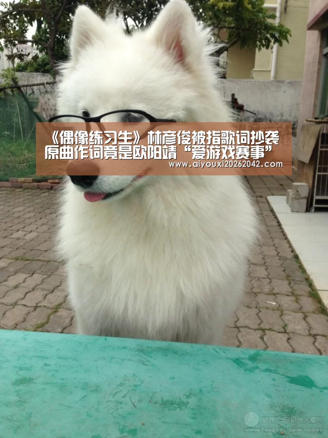 《偶像练习生》林彦俊被指歌词抄袭 原曲作词竟是欧阳靖“爱游戏赛事”(图3) 爱游戏直播